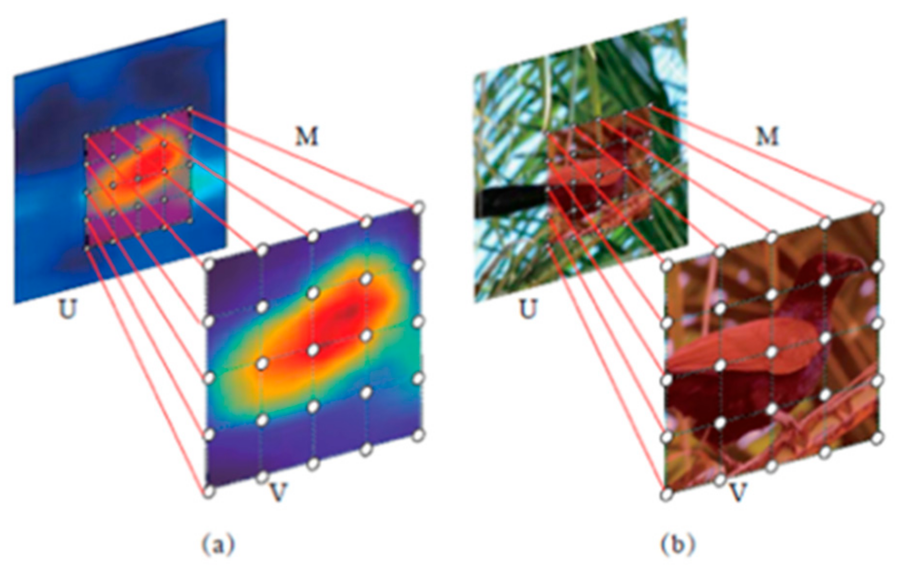 Electronics 09 02038 g003