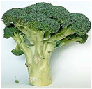 Electronics 10 00014 i006 Electronics 10 00014 i006