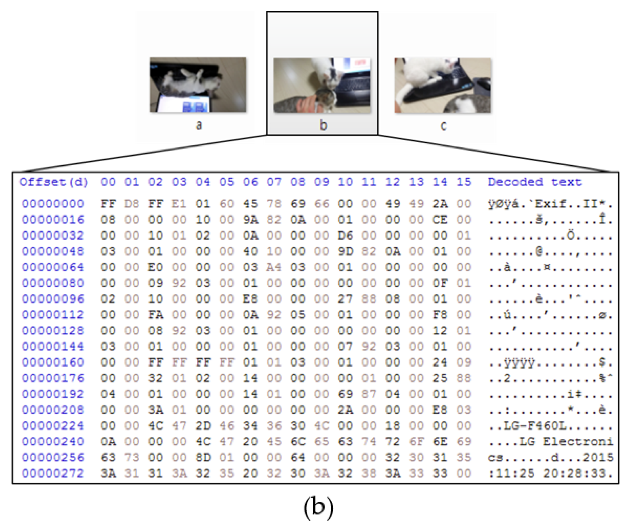 Electronics 10 00016 g007b