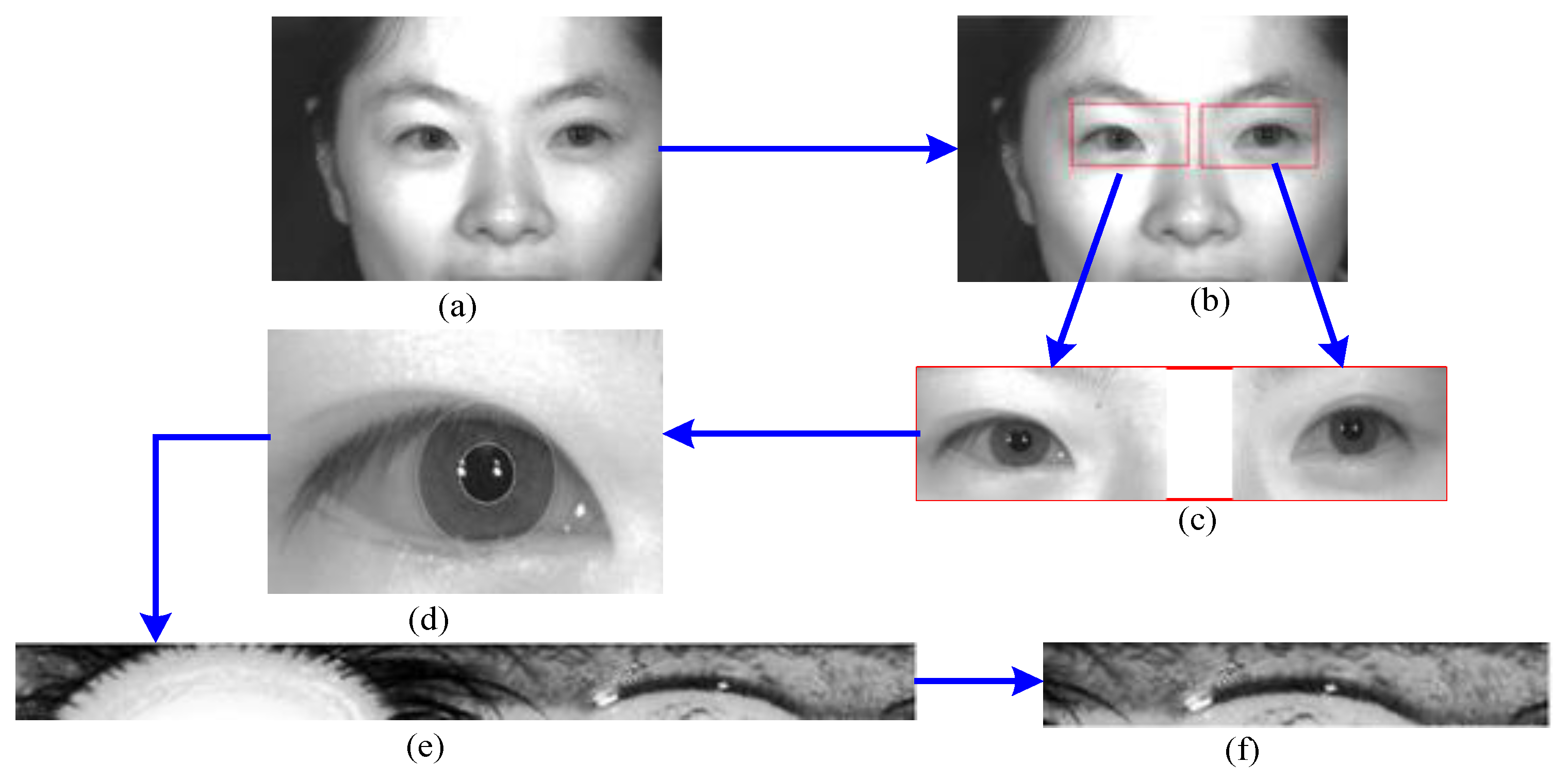 Electronics 10 00217 g002