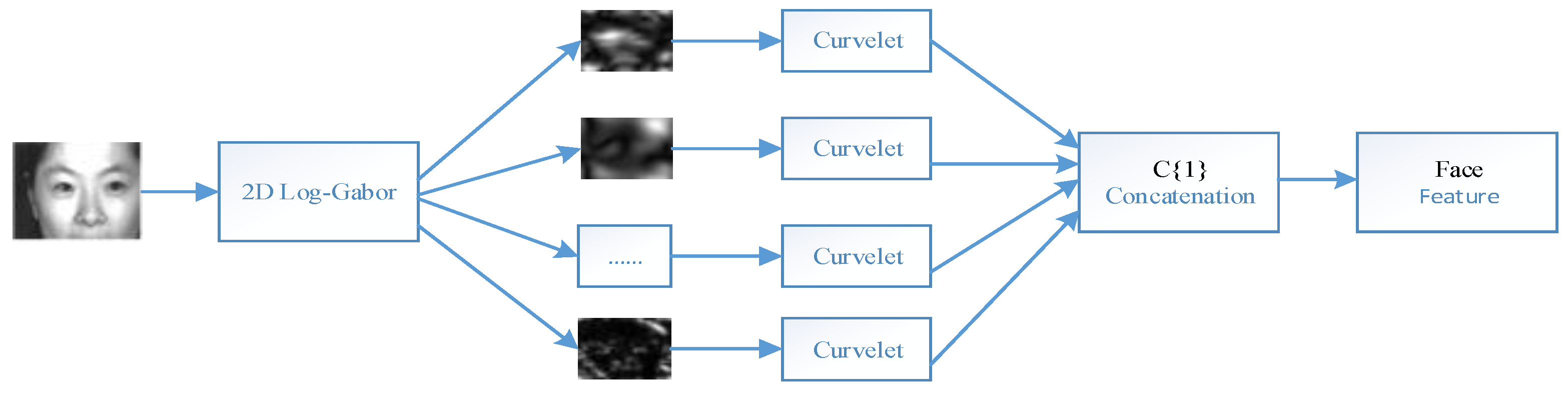 Electronics 10 00217 g003