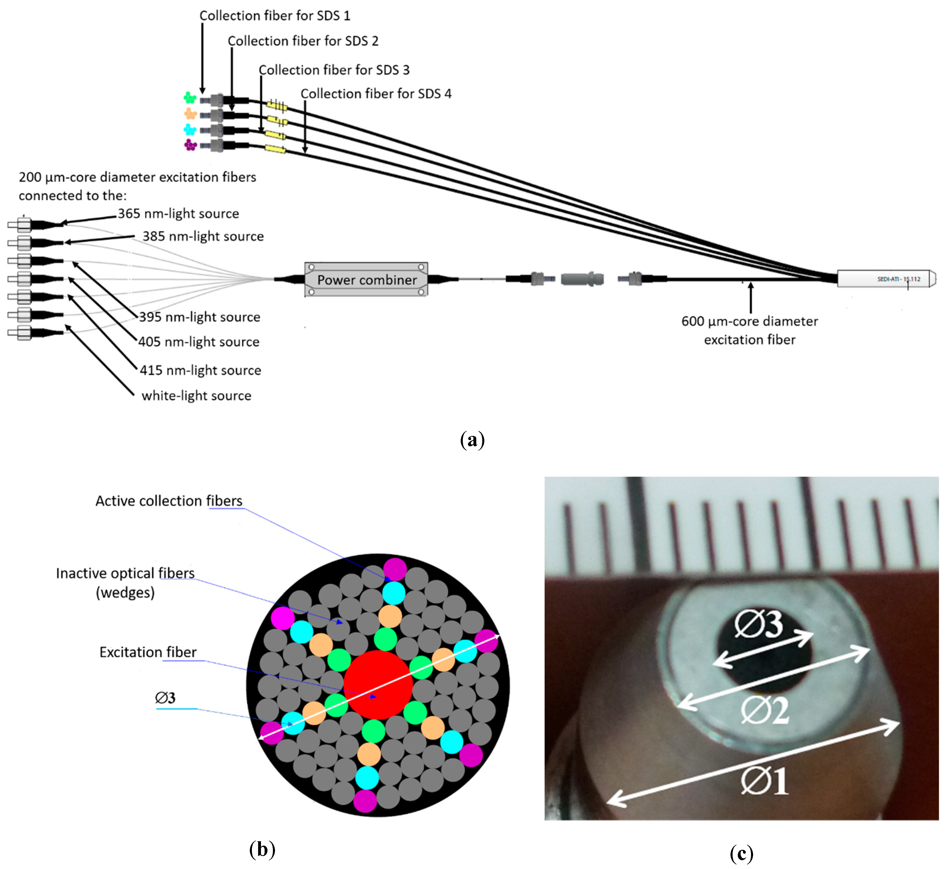 Electronics 10 00243 g002