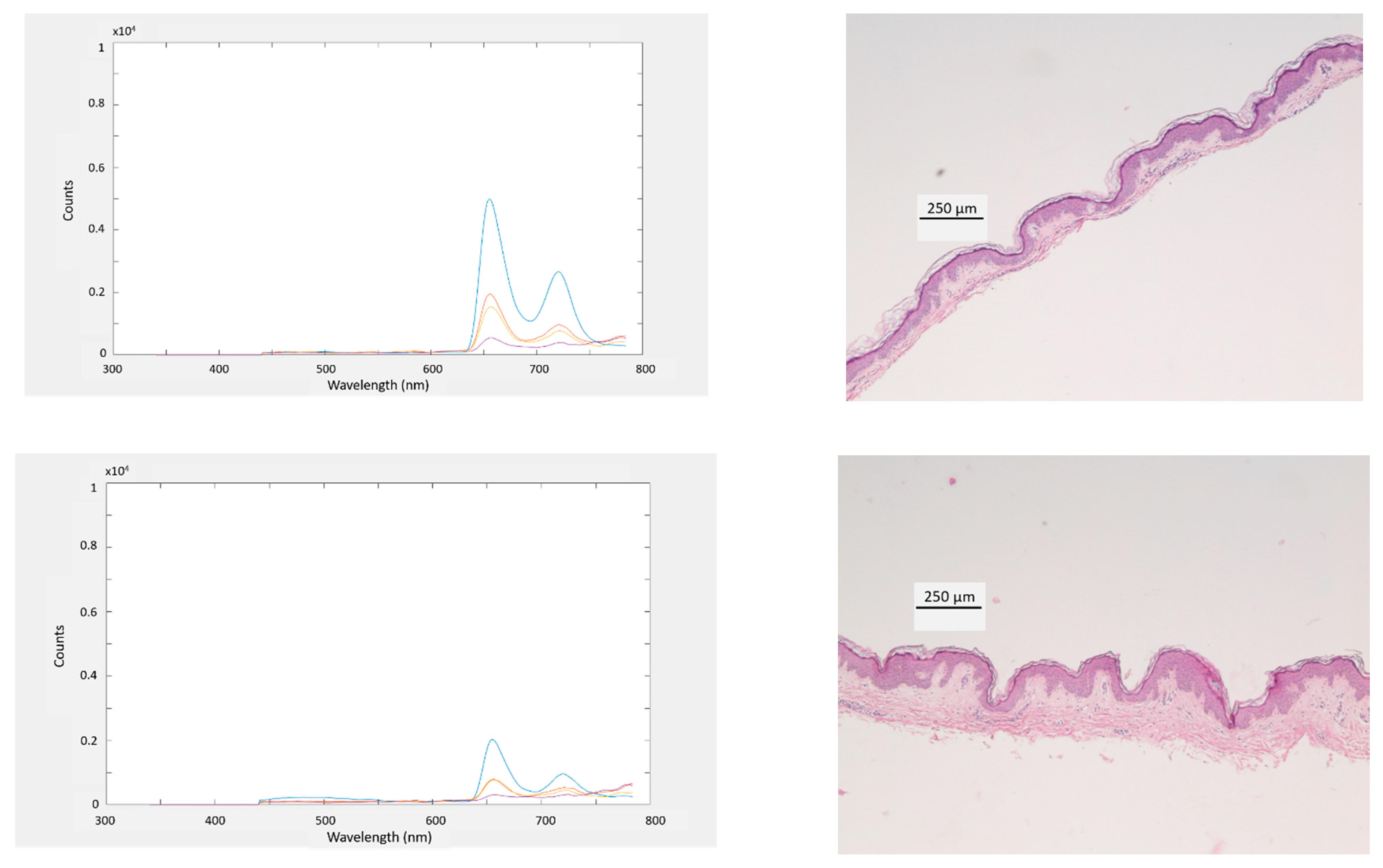 Electronics 10 00243 g010a