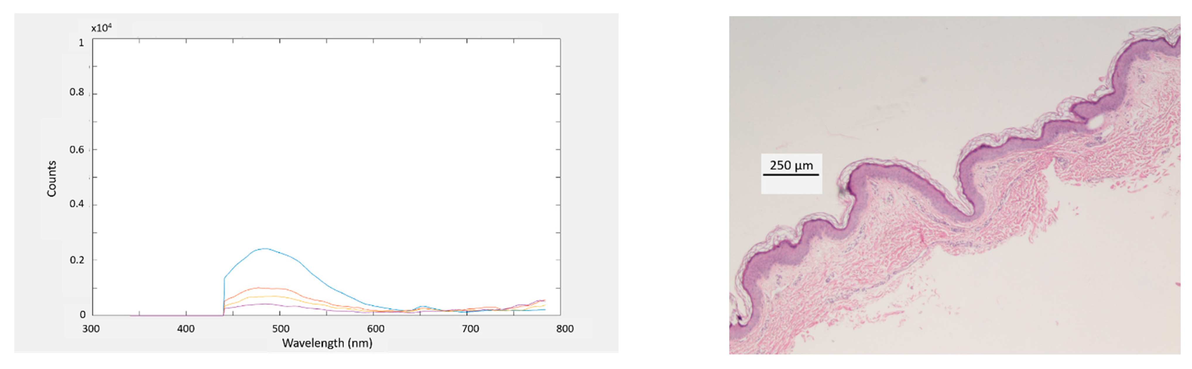 Electronics 10 00243 g010b