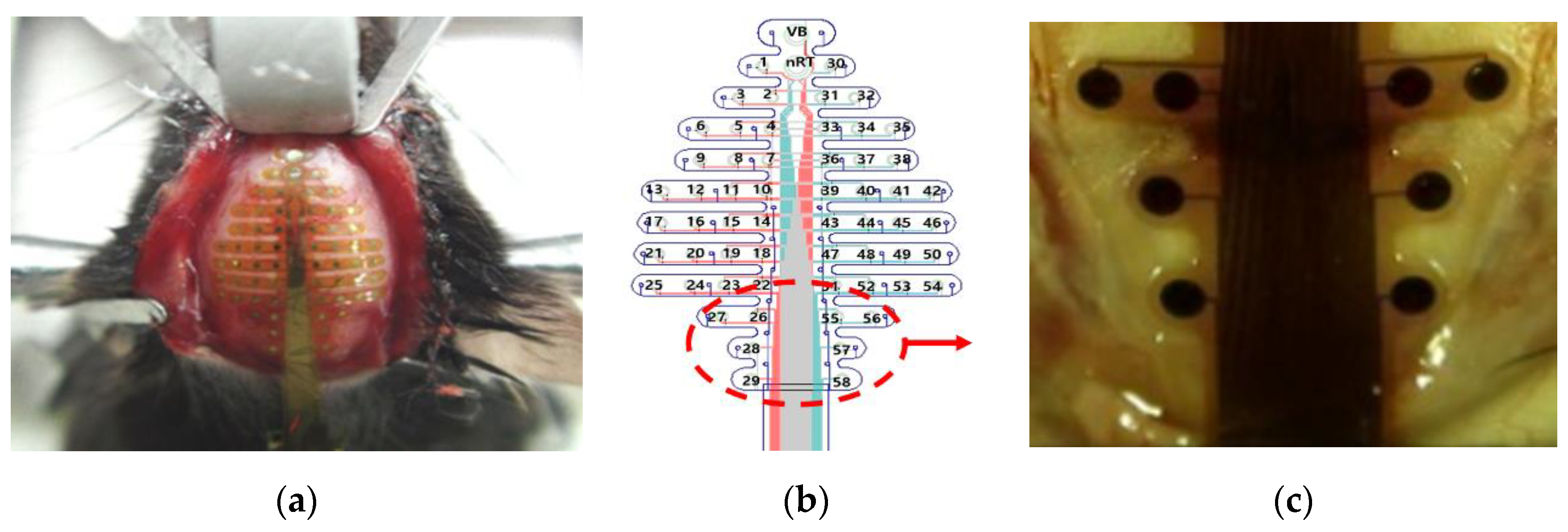 Electronics 10 00316 g009 Electronics 10 00316 g009