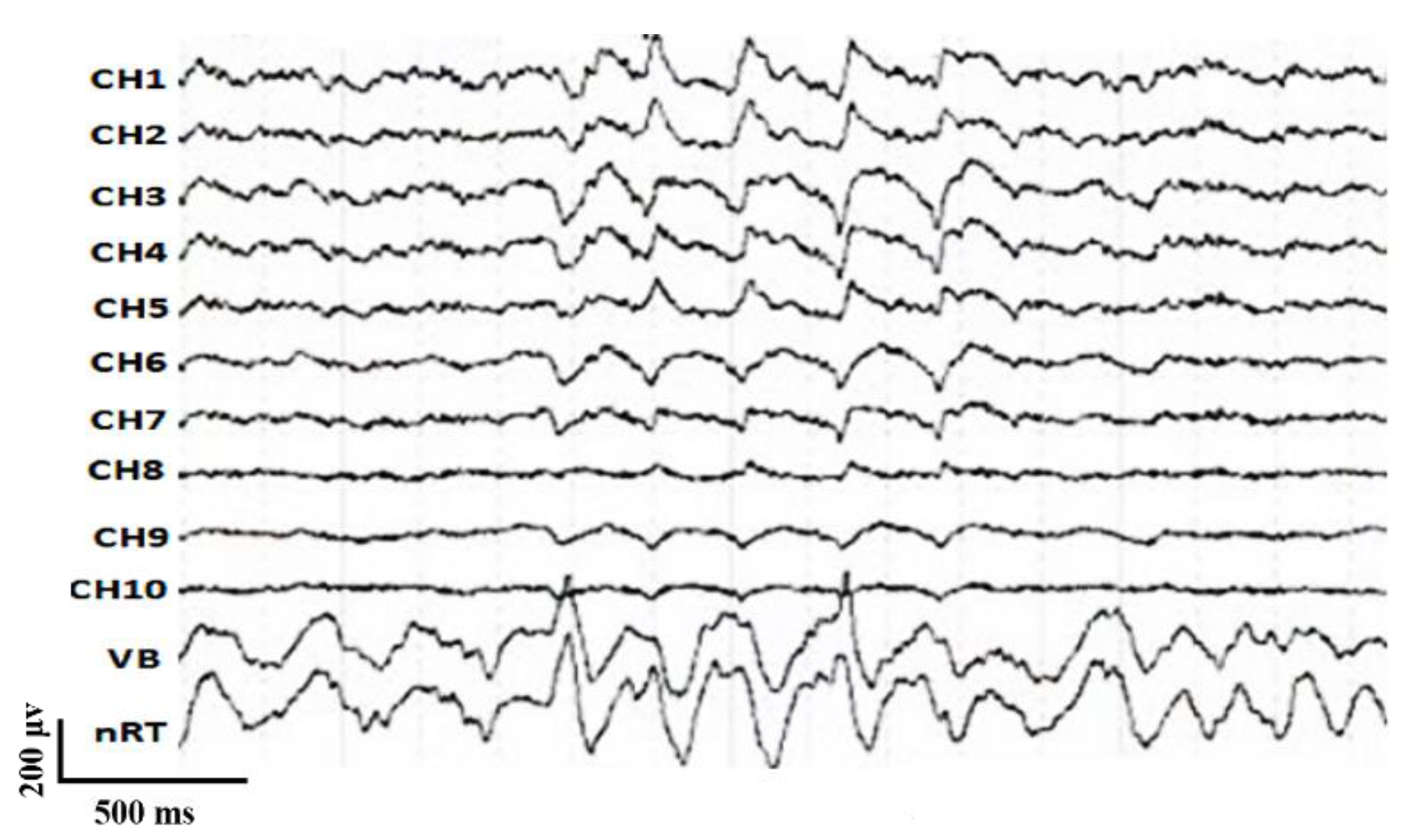 Electronics 10 00316 g010 Electronics 10 00316 g010