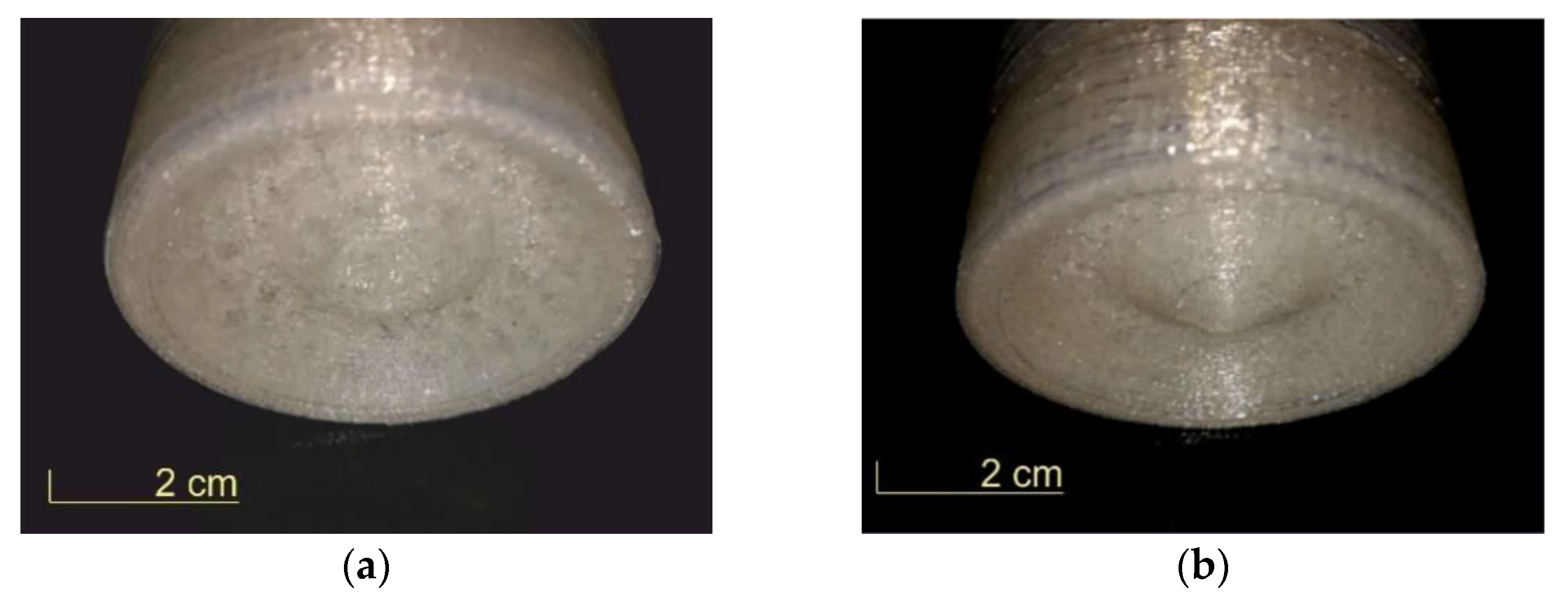 Electronics 10 00365 g001a Electronics 10 00365 g001a