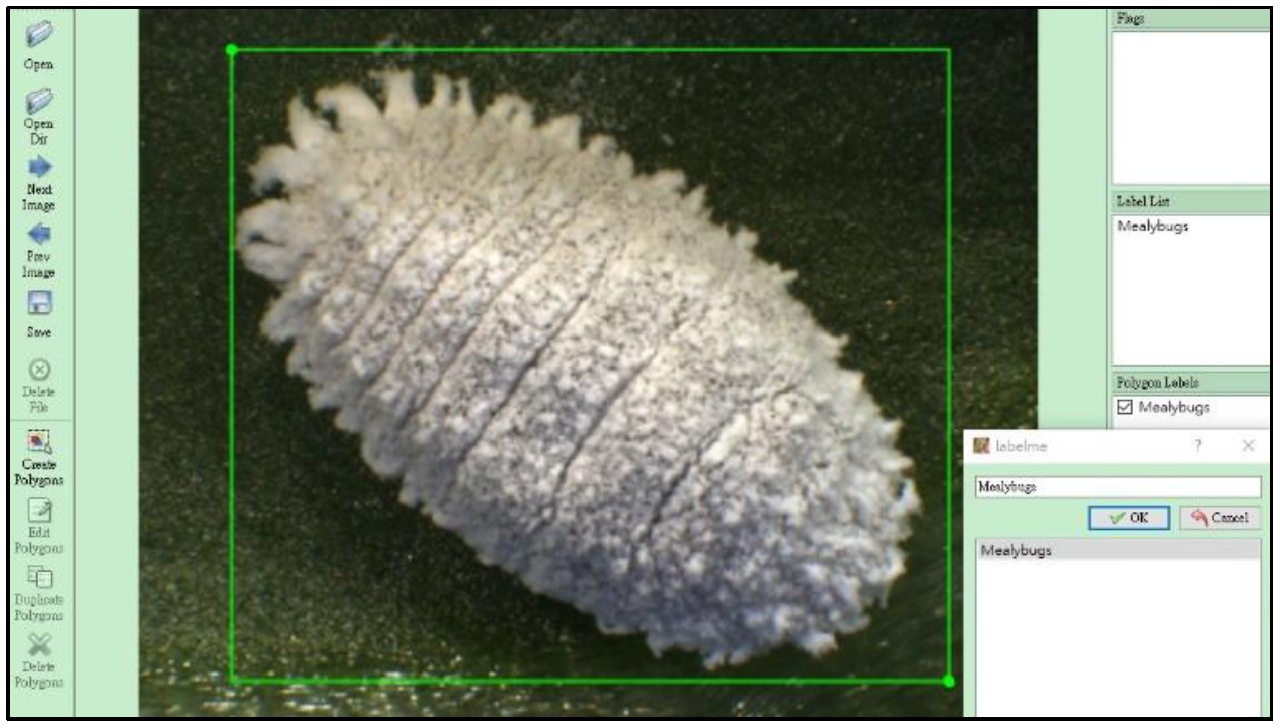 Electronics 10 00372 g004