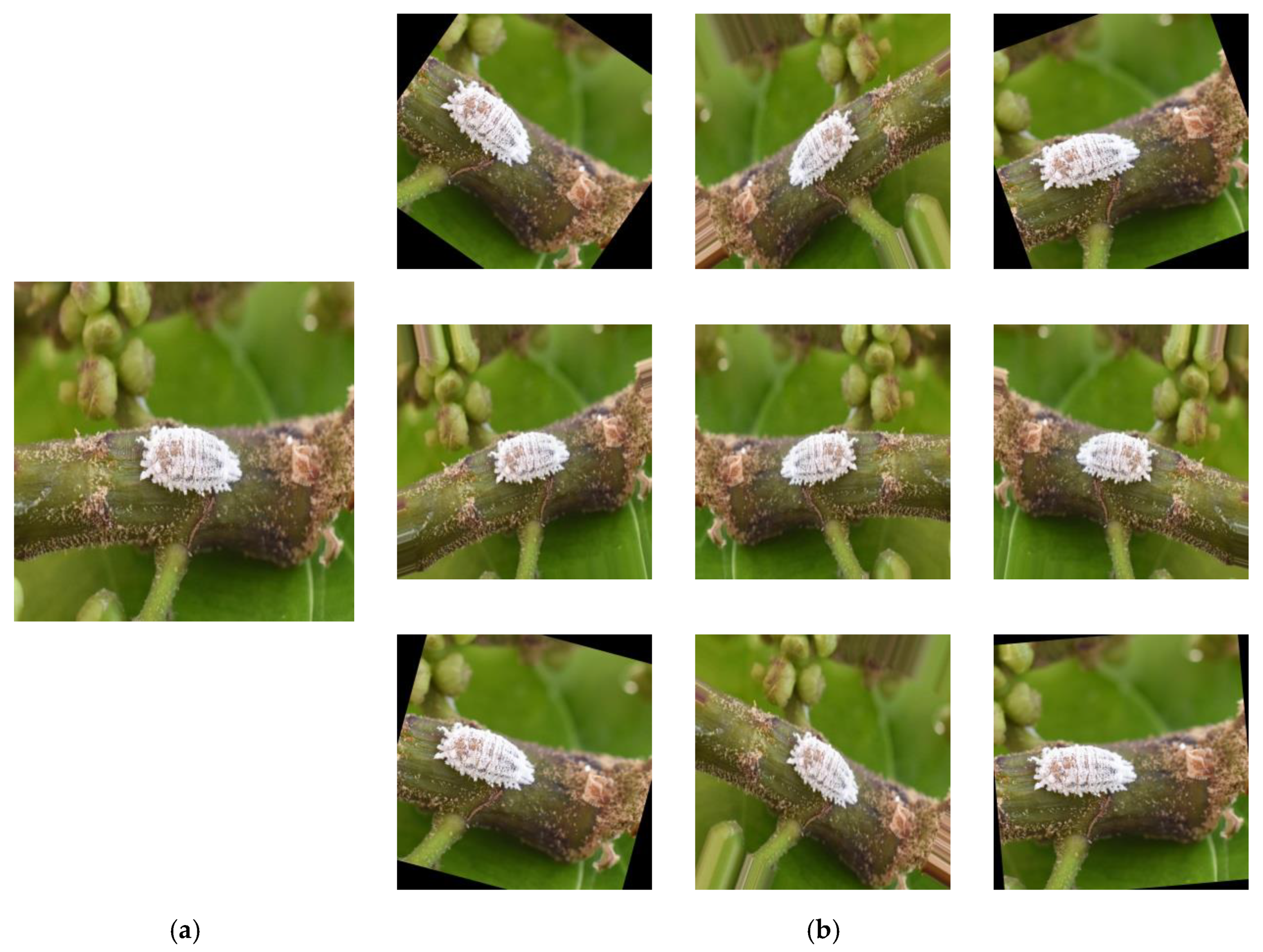 Electronics 10 00372 g005