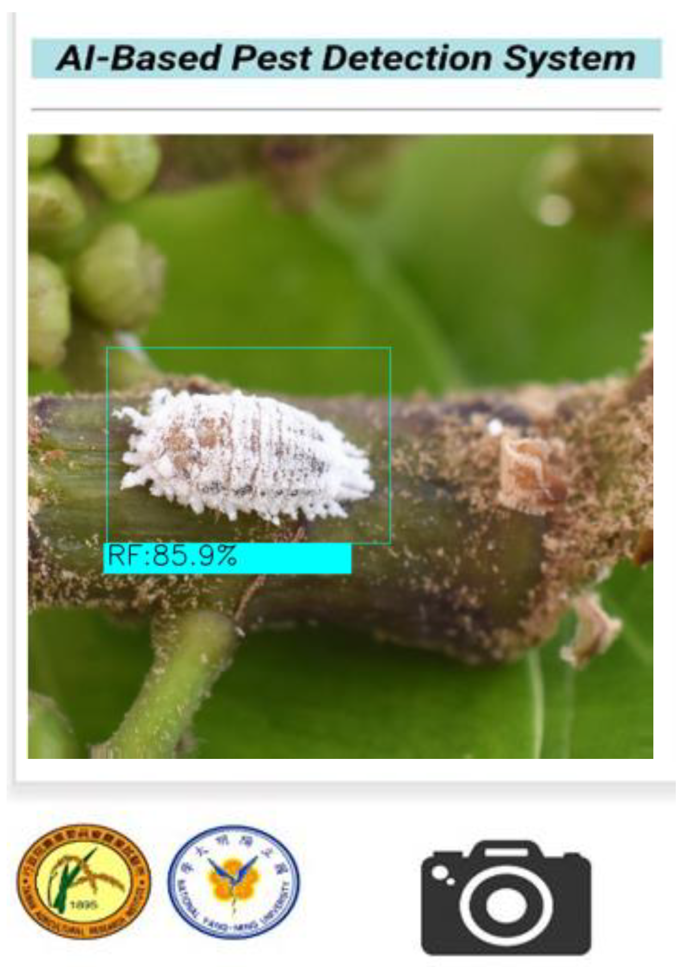 Electronics 10 00372 g010