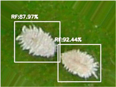 Electronics 10 00372 i003 Electronics 10 00372 i003