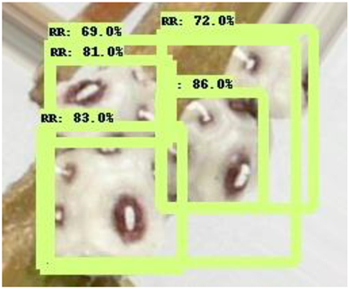 Electronics 10 00372 i004 Electronics 10 00372 i004