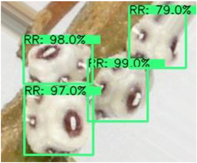 Electronics 10 00372 i005 Electronics 10 00372 i005