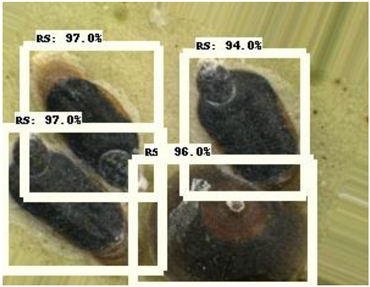 Electronics 10 00372 i007 Electronics 10 00372 i007