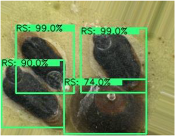 Electronics 10 00372 i008 Electronics 10 00372 i008