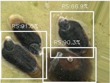 Electronics 10 00372 i009 Electronics 10 00372 i009