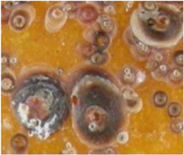 Electronics 10 00372 i016 Electronics 10 00372 i016