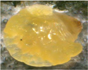 Electronics 10 00372 i017 Electronics 10 00372 i017