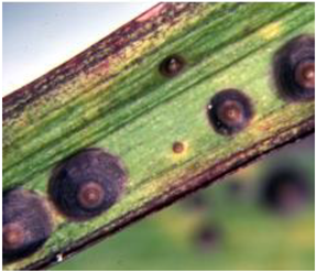 Electronics 10 00372 i020 Electronics 10 00372 i020