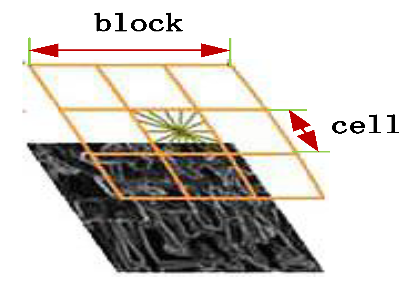 Electronics 10 00481 g004