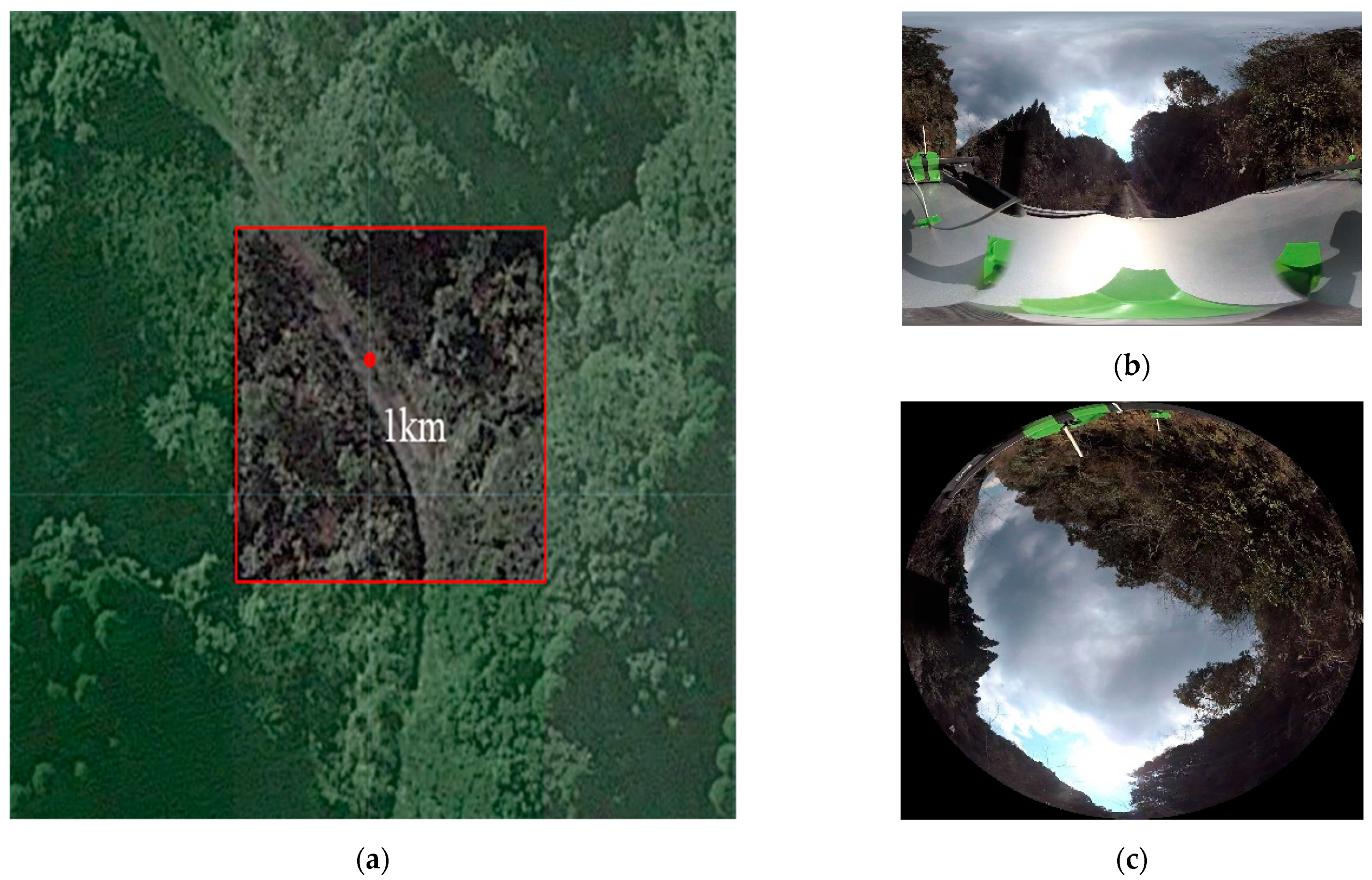 Electronics 10 00502 g009