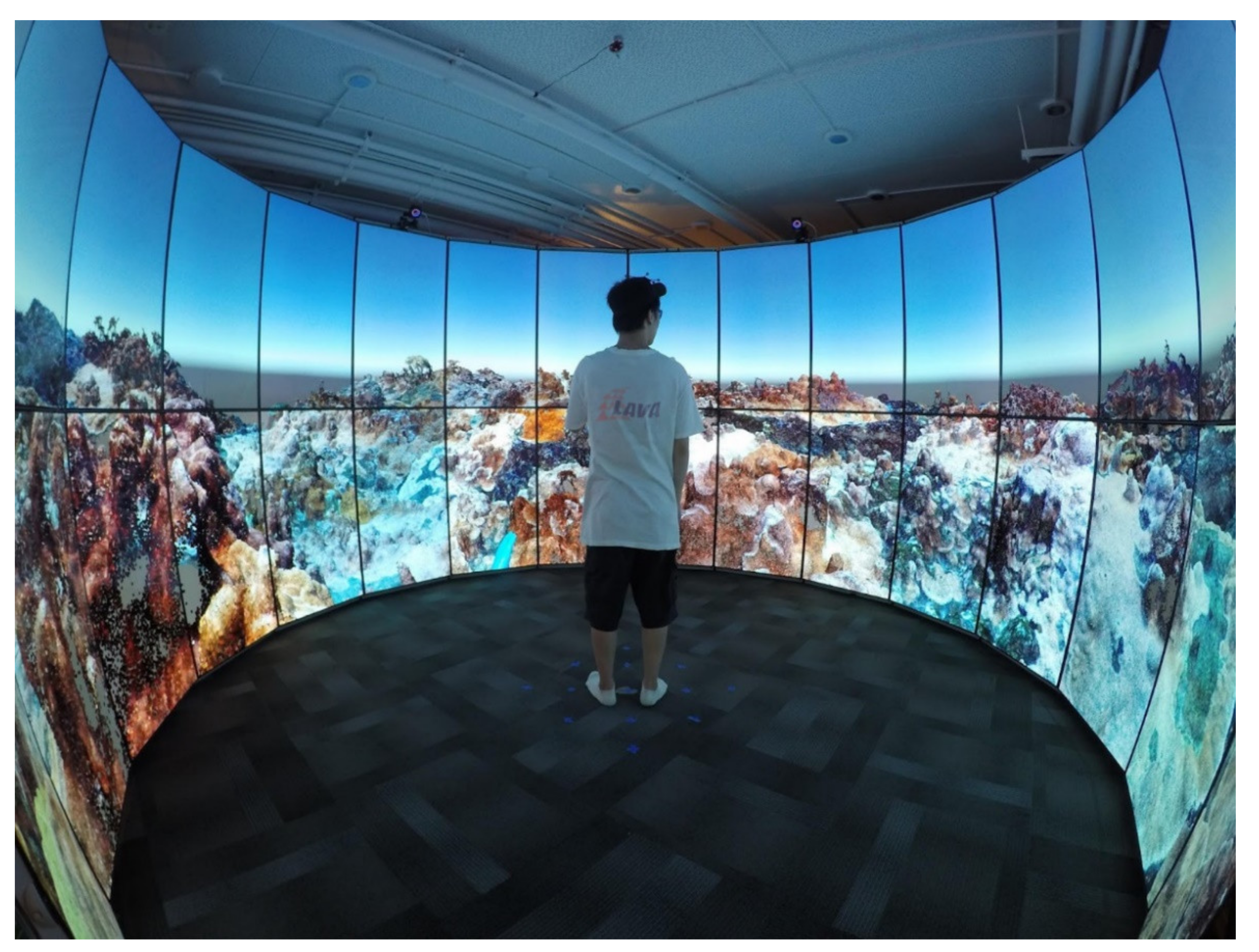 Electronics 10 00513 g002