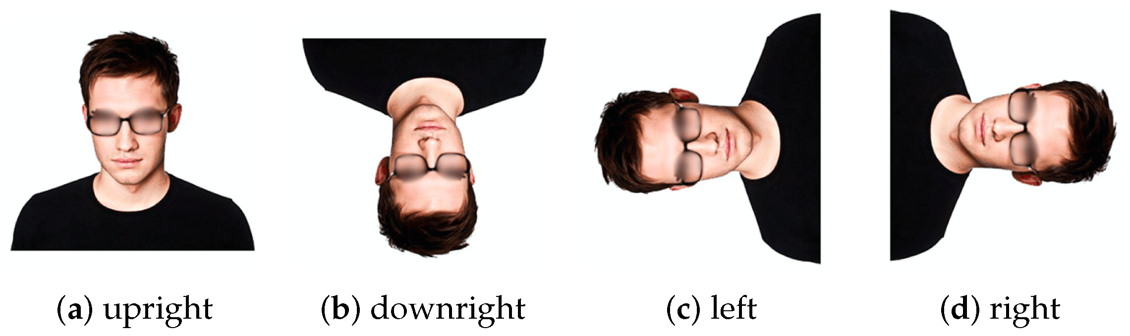 Electronics 10 00558 g001