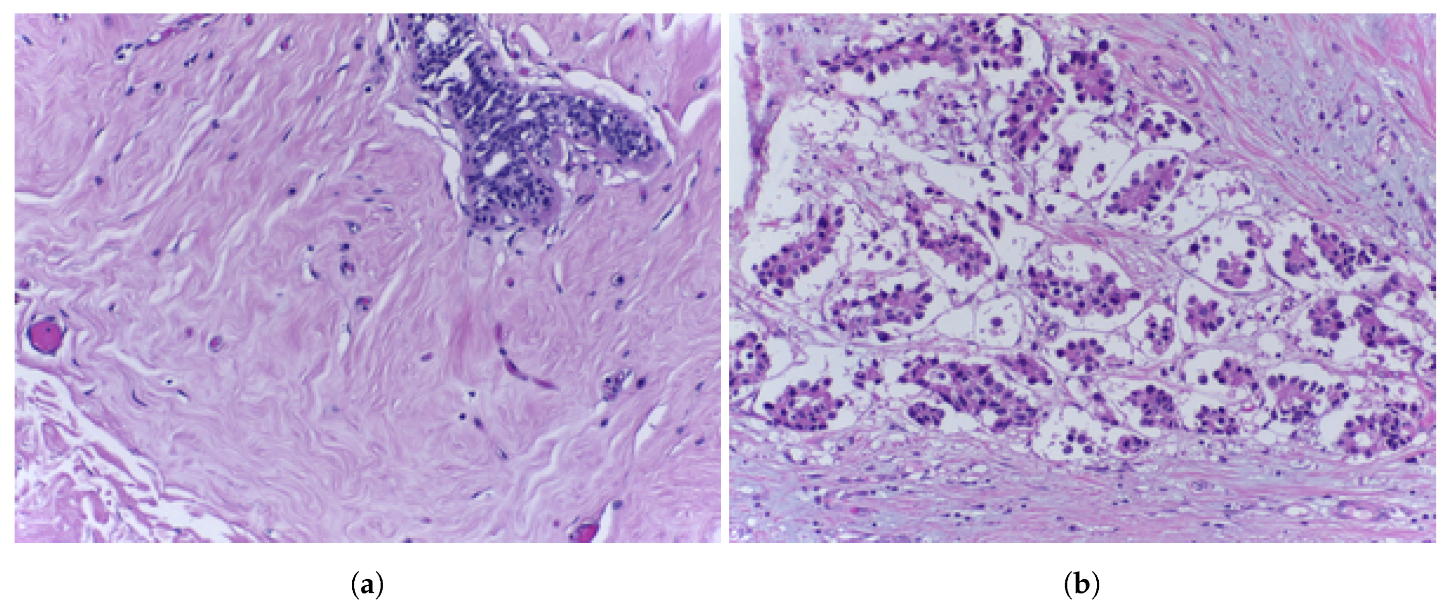 Electronics 10 00562 g001 Electronics 10 00562 g001