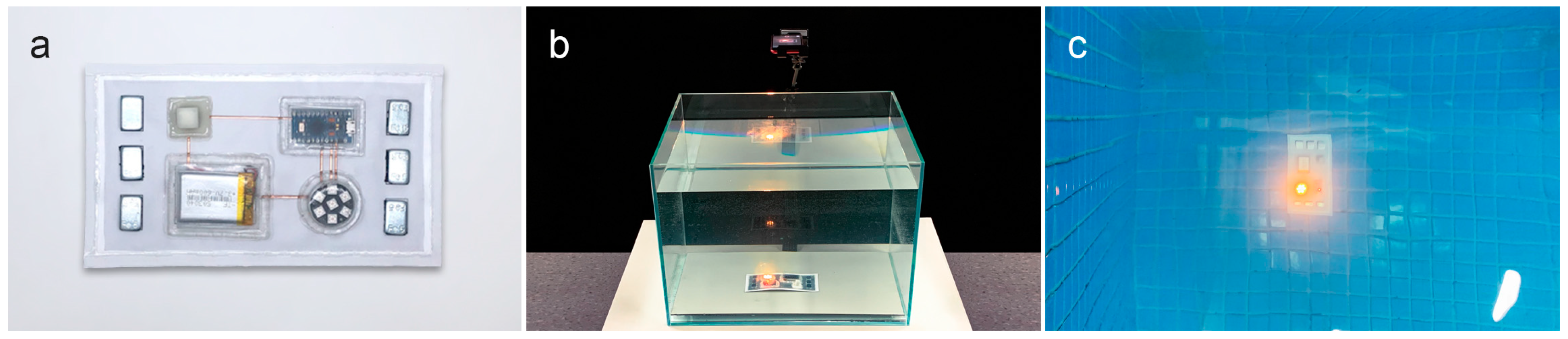 Electronics 10 00604 g012