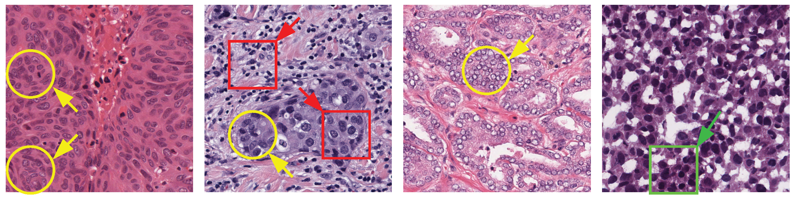 Electronics 10 00954 g001