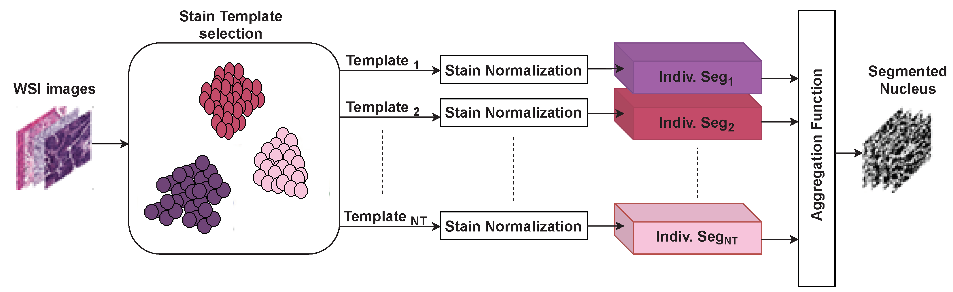 Electronics 10 00954 g002