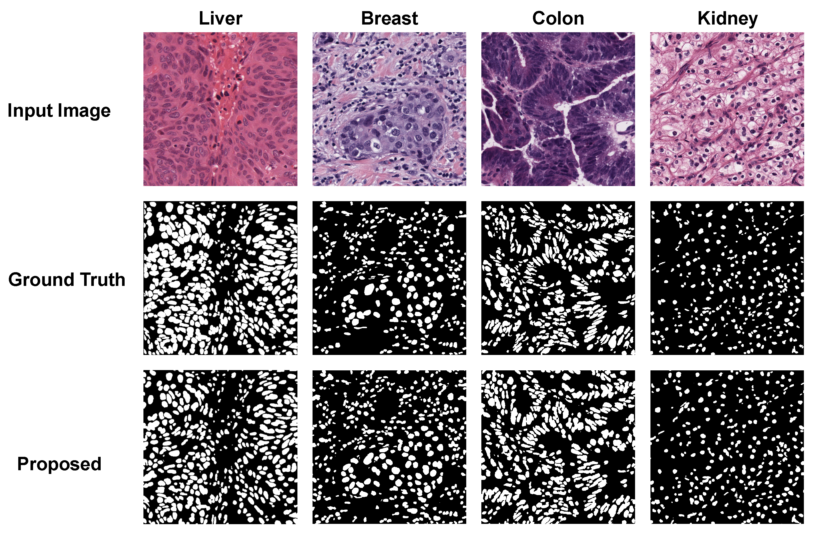 Electronics 10 00954 g007