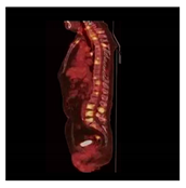 Electronics 10 01024 i003 Electronics 10 01024 i003