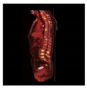 Electronics 10 01024 i006 Electronics 10 01024 i006