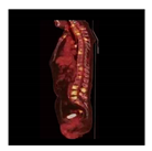 Electronics 10 01024 i009 Electronics 10 01024 i009