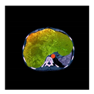 Electronics 10 01024 i010 Electronics 10 01024 i010