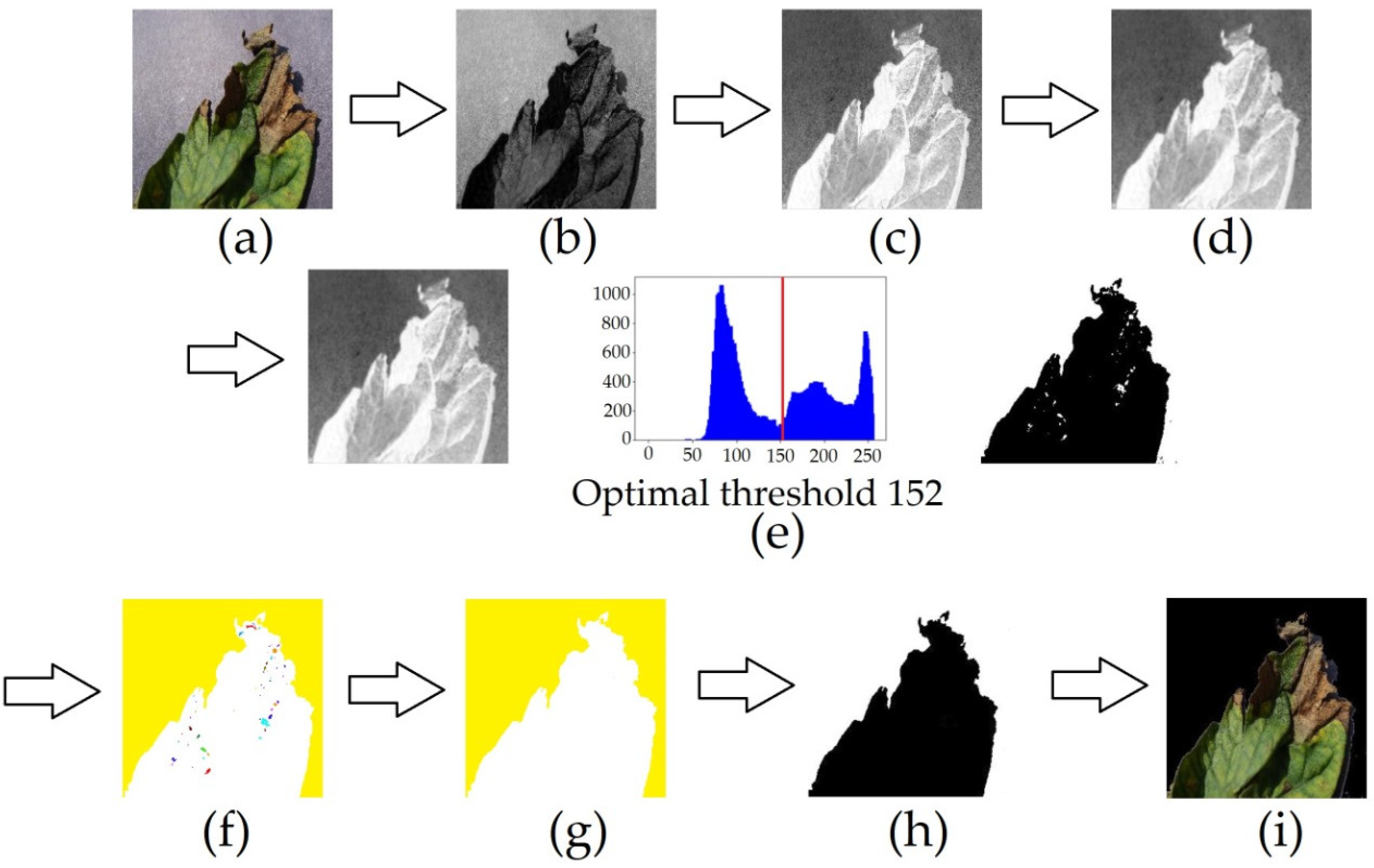 Electronics 10 01055 g004