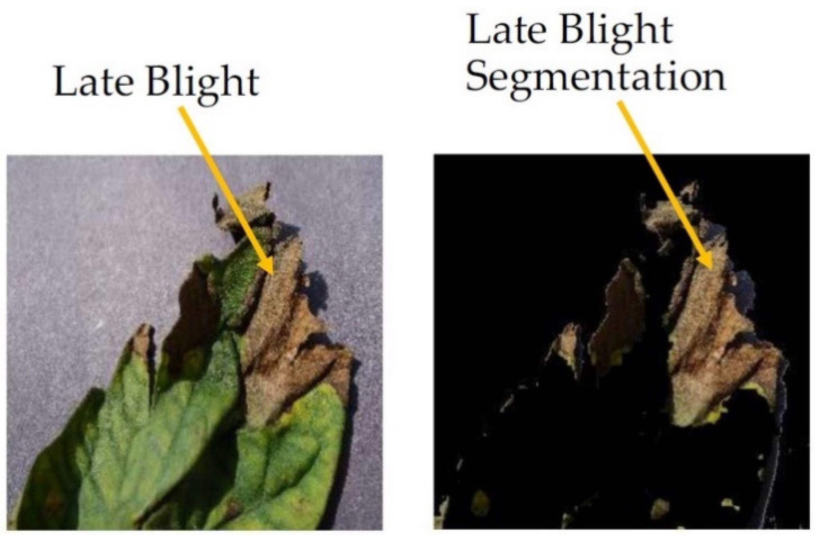 Electronics 10 01055 g006