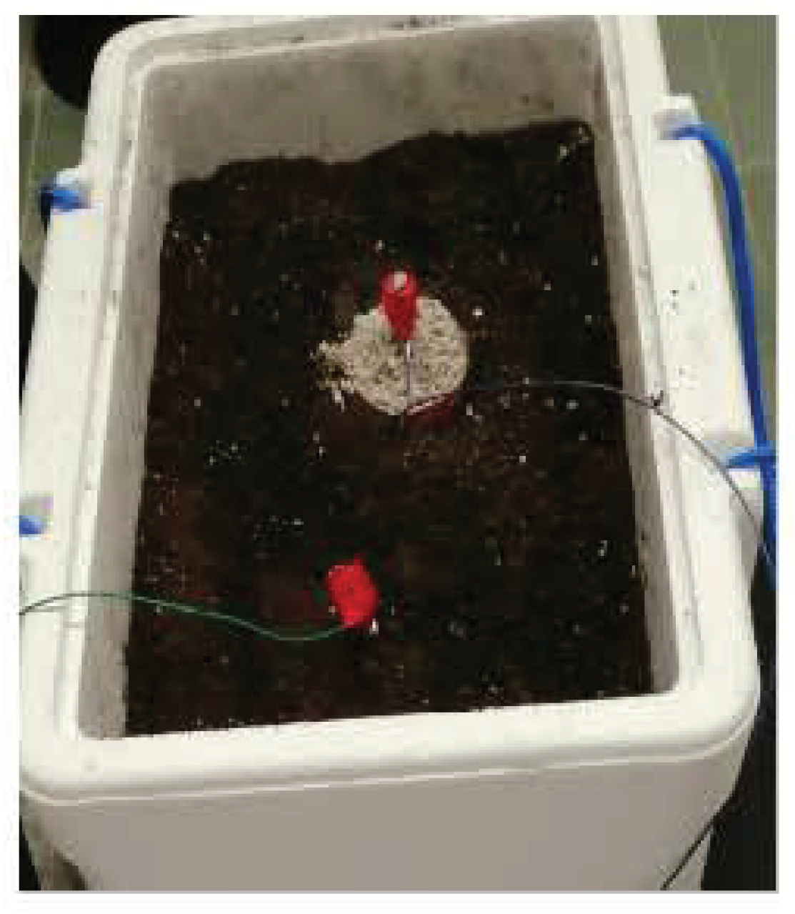 Electronics 10 01281 g015