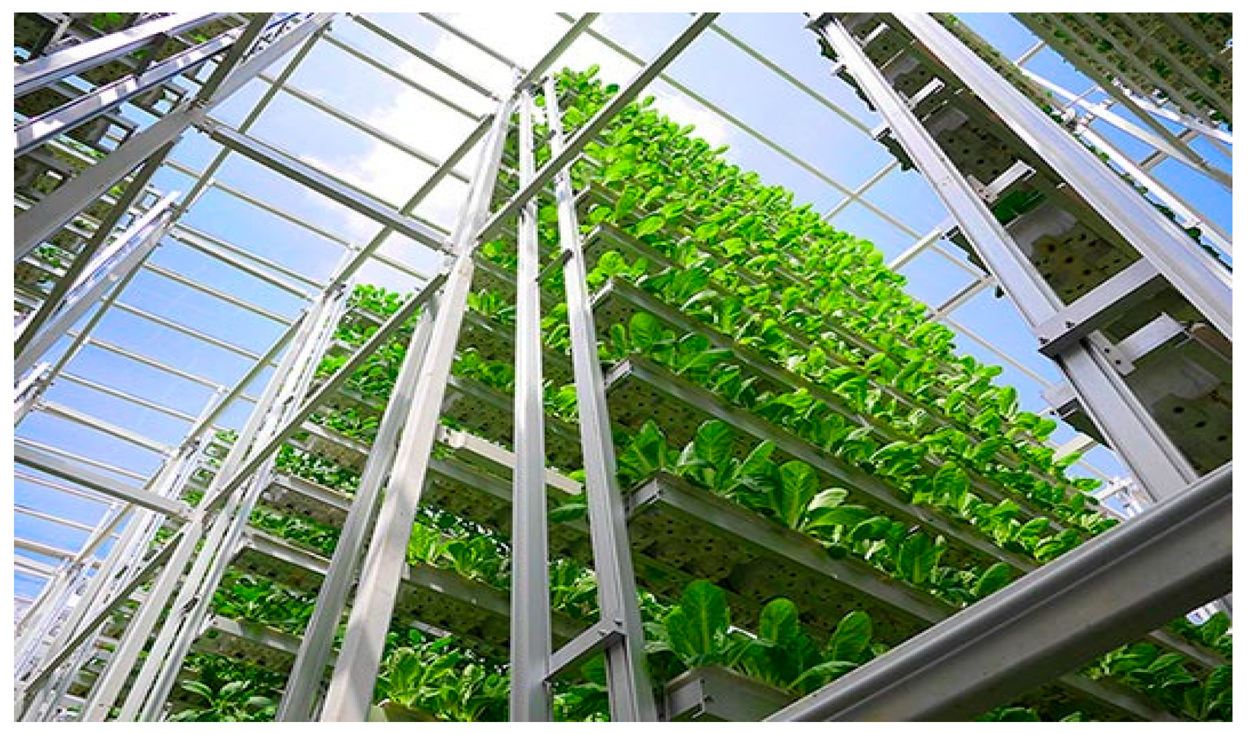 Electronics 10 01422 g004