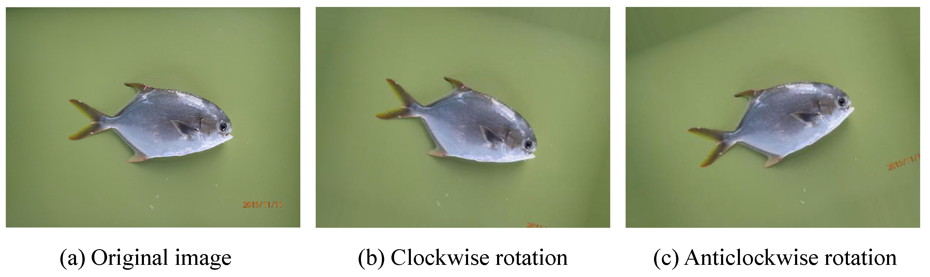 Electronics 10 01426 g005