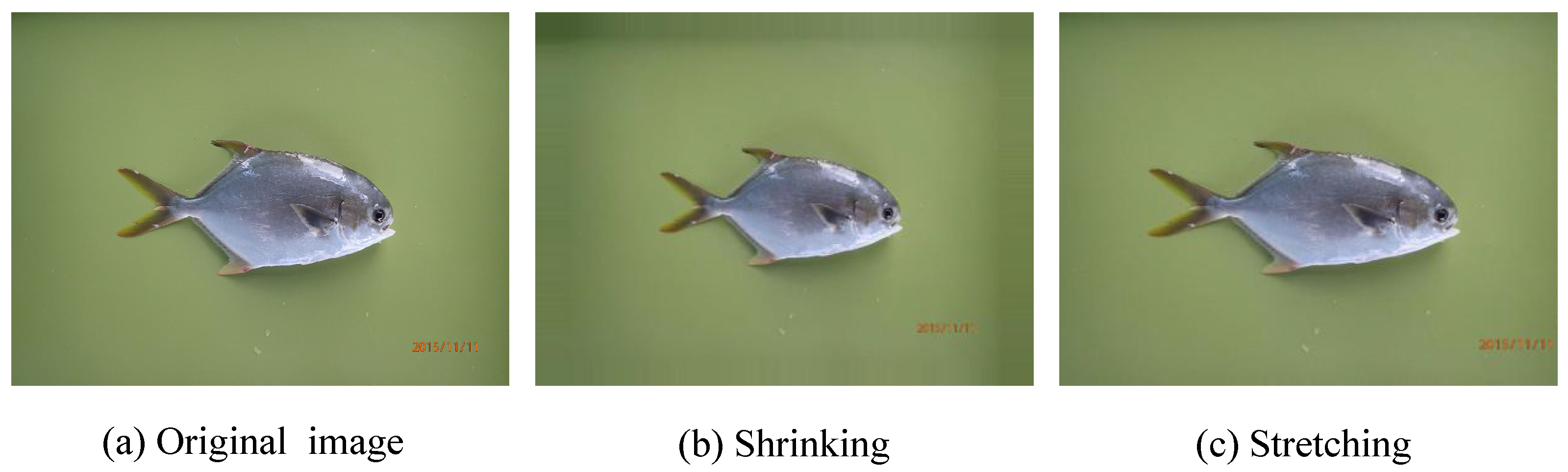 Electronics 10 01426 g007