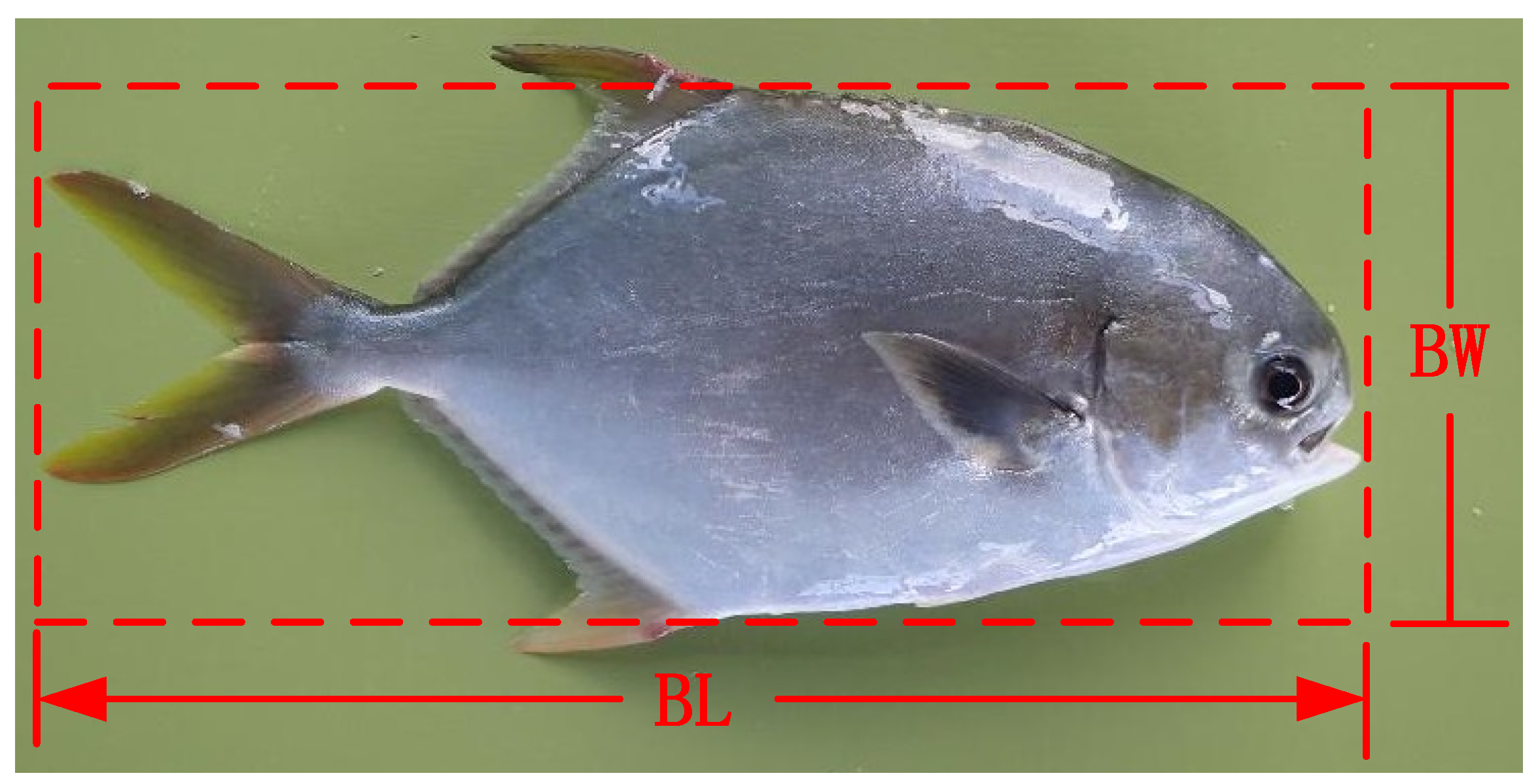 Electronics 10 01426 g011