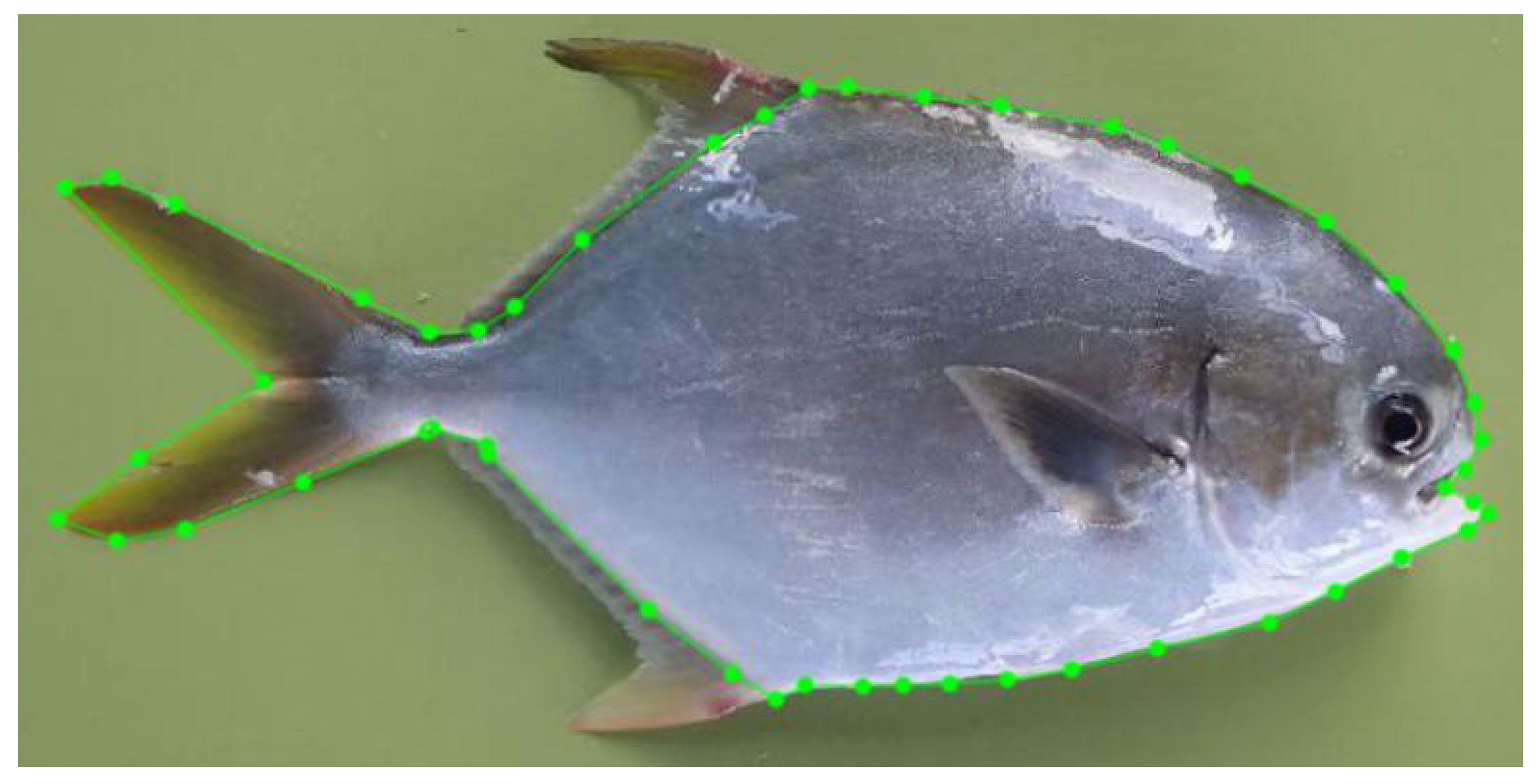 Electronics 10 01426 g012