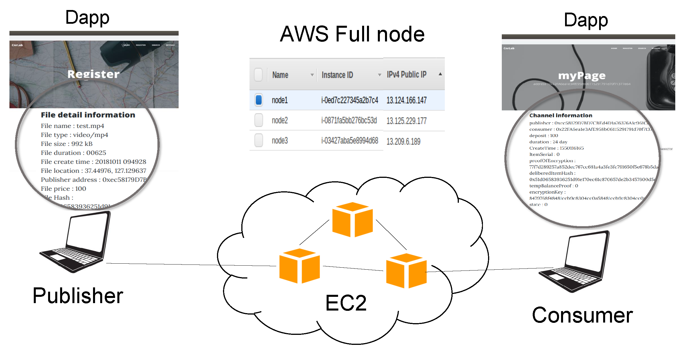 Electronics 10 01477 g007