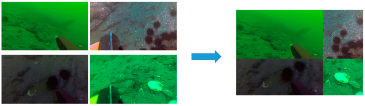 Electronics 10 01634 g004