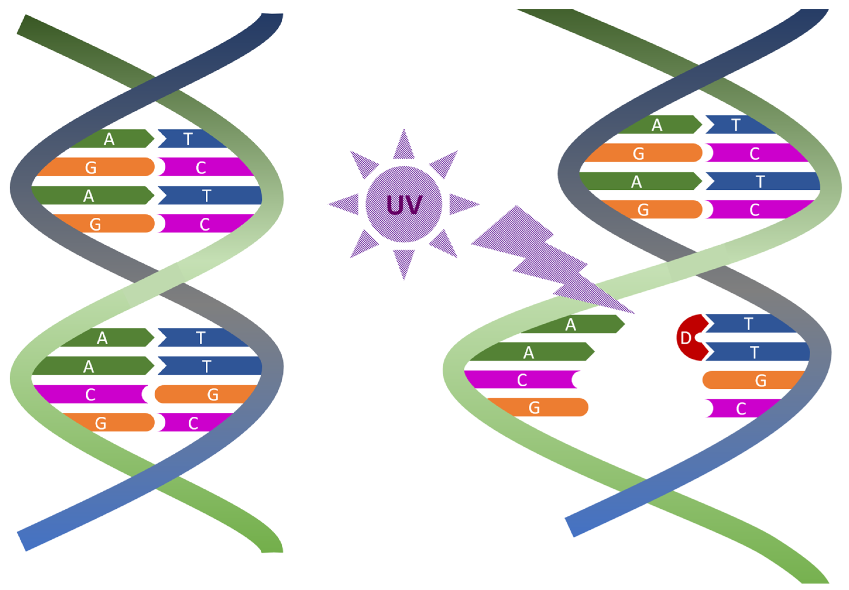 Electronics 10 01703 g002