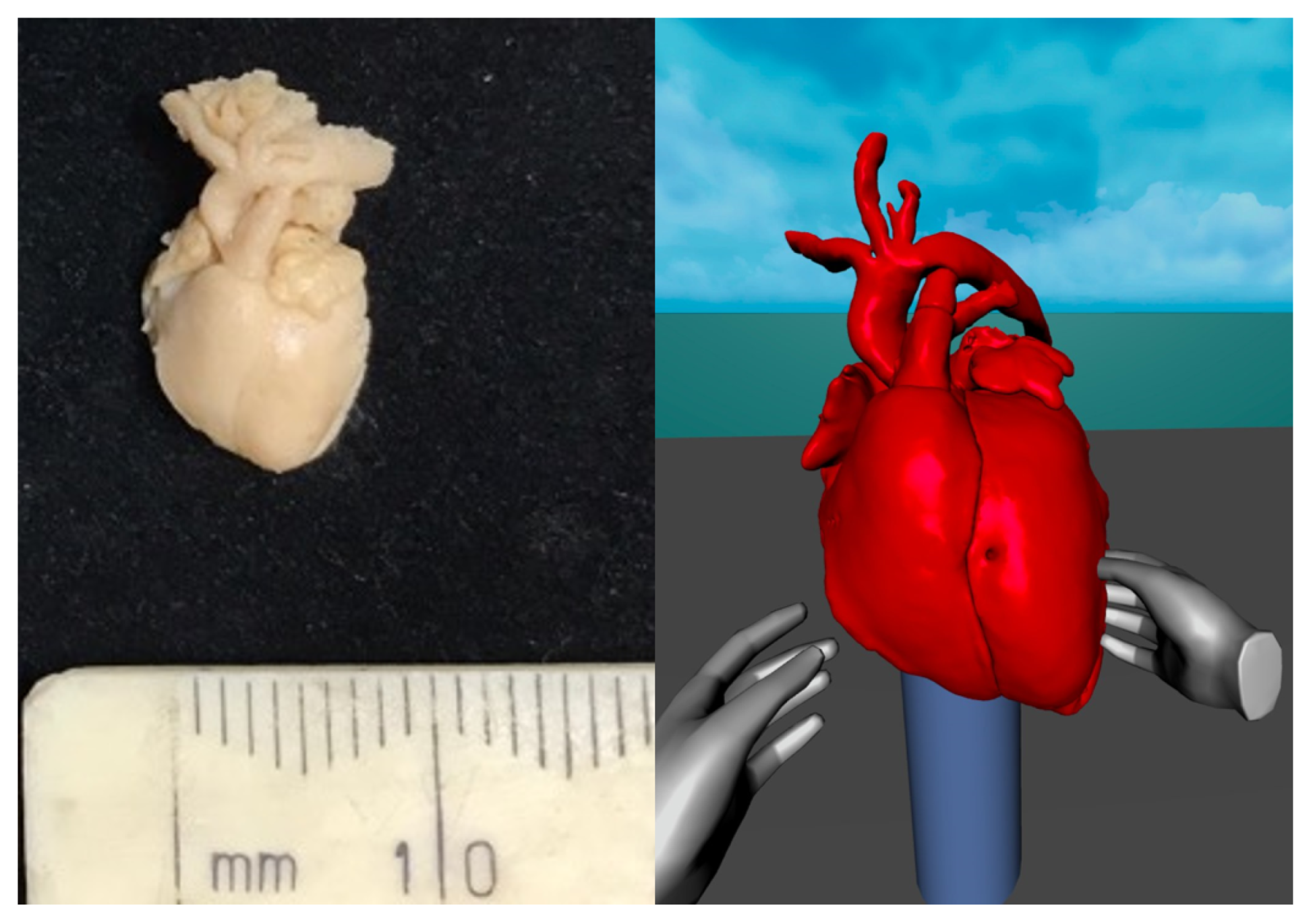 Electronics 10 01889 g008