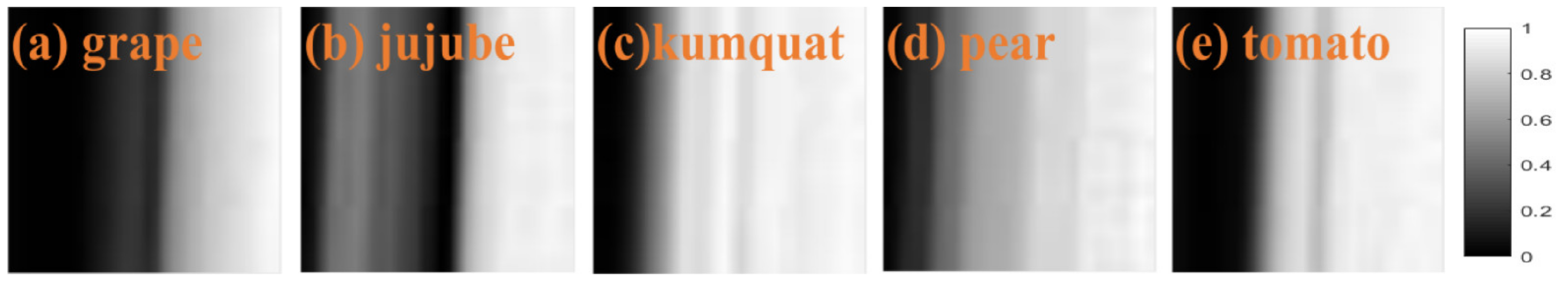 Electronics 10 01892 g005