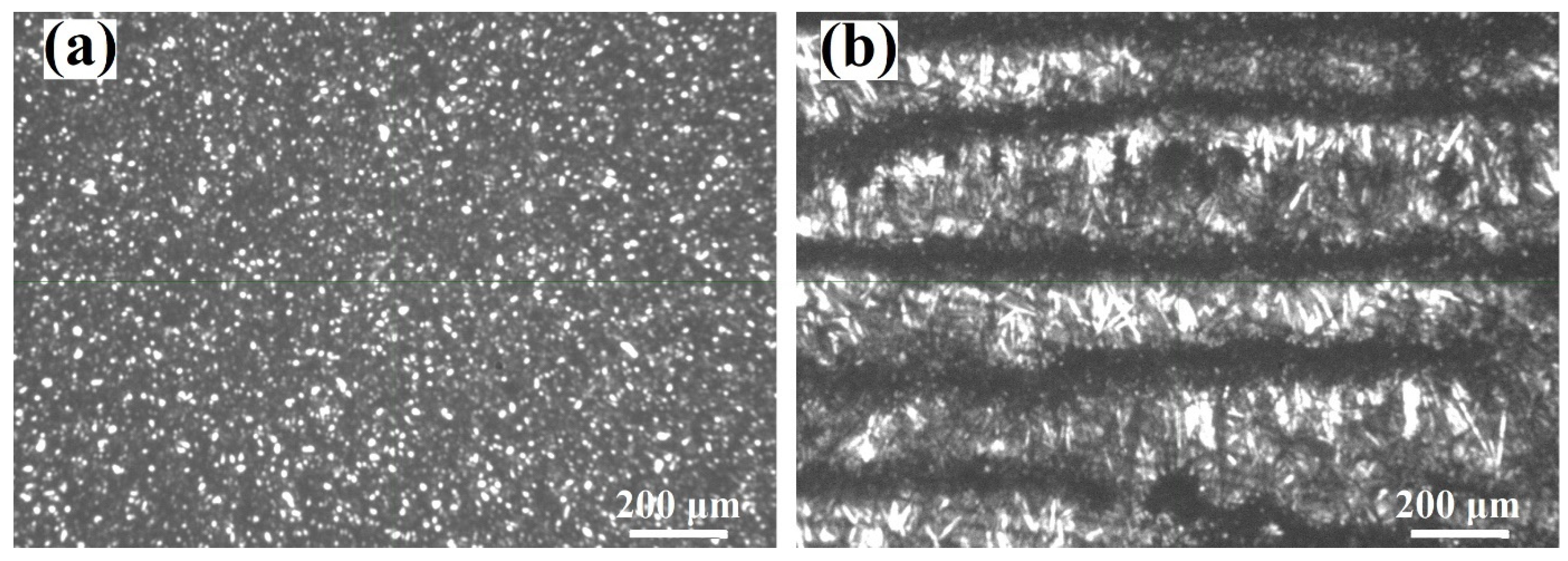 Electronics 10 01904 g002